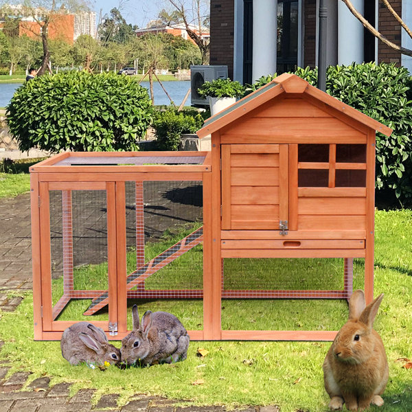 Petbarn rabbit outlet hutch